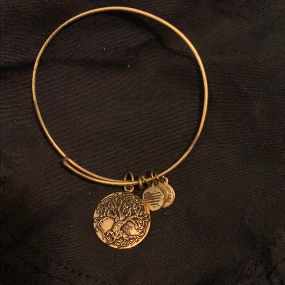 Alex and Ani bracelet